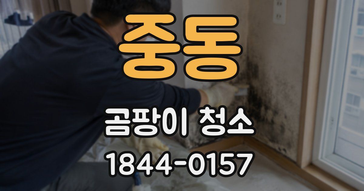 중동 곰팡이 청소