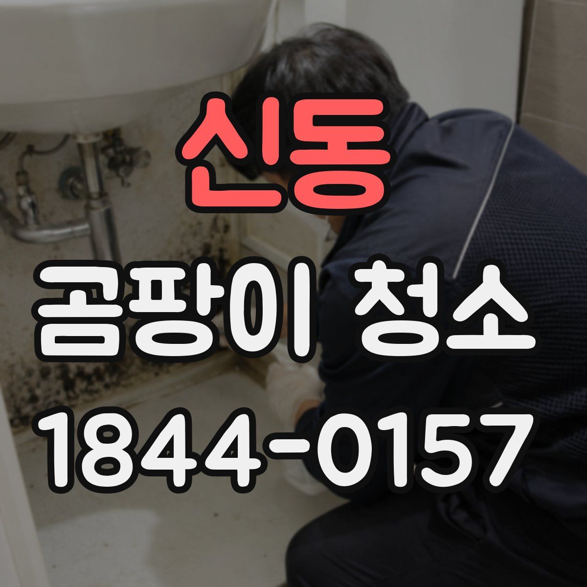 신동 곰팡이 청소