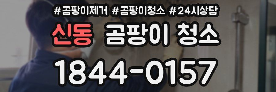 신동 곰팡이 청소