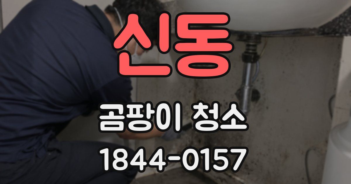 신동 곰팡이 청소