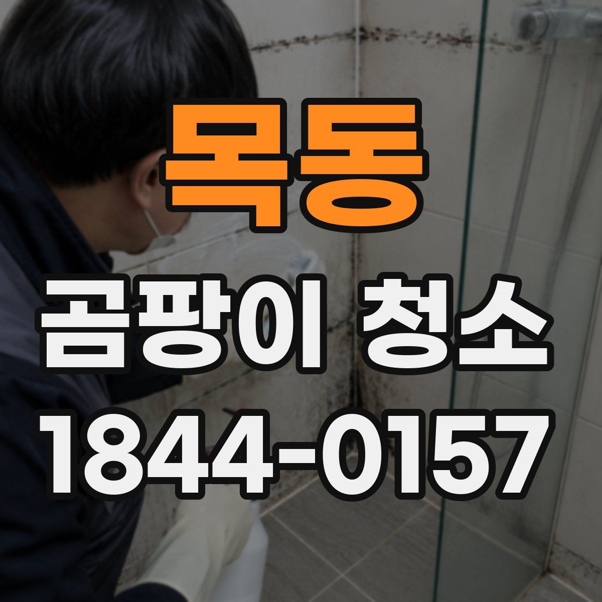 목동 곰팡이 청소