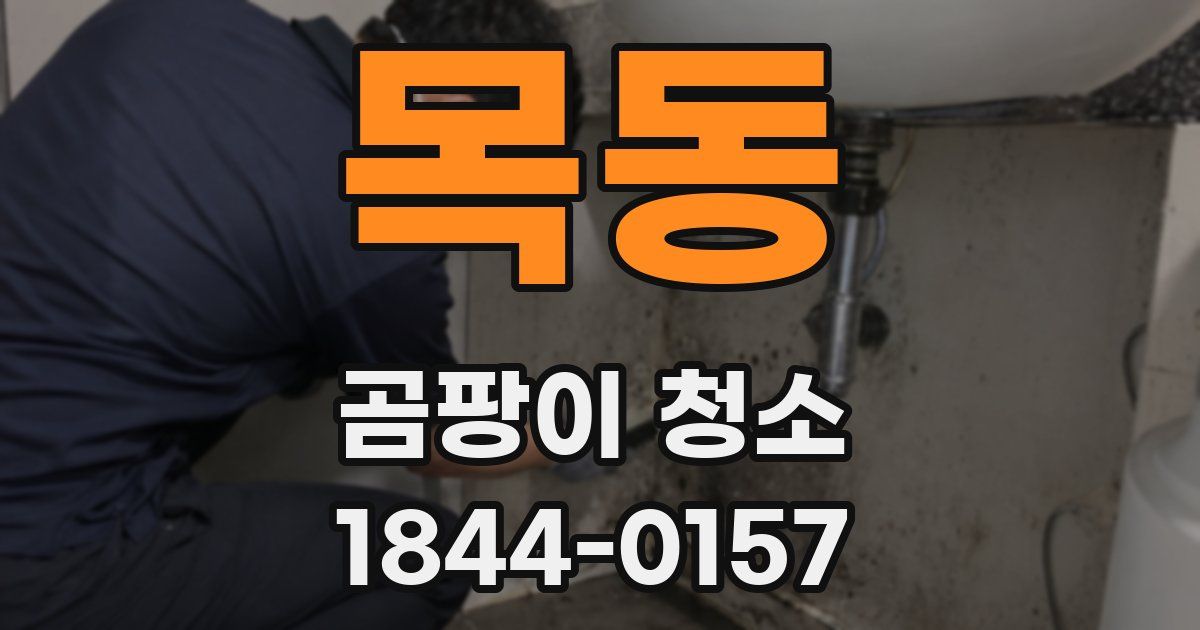 목동 곰팡이 청소