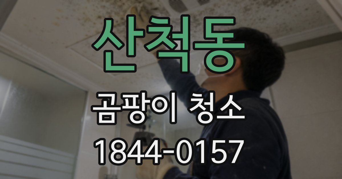 산척동 곰팡이 청소