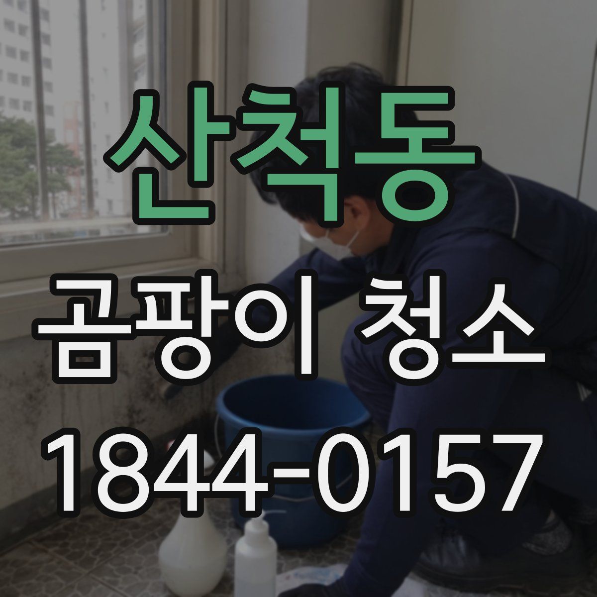 산척동 곰팡이 청소