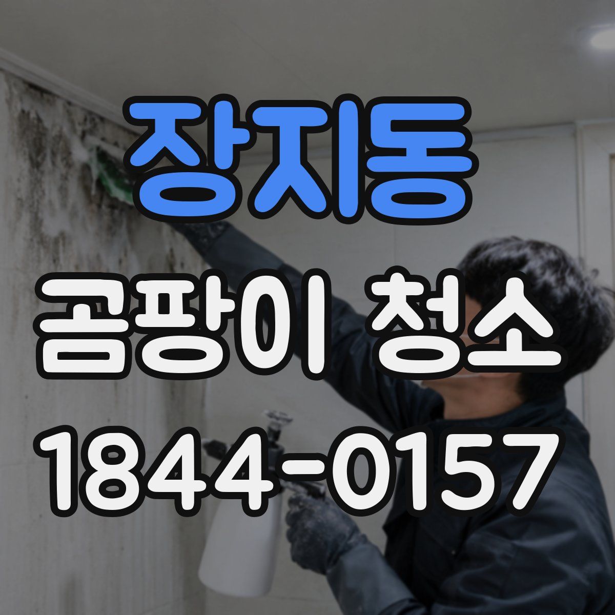 장지동 곰팡이 청소