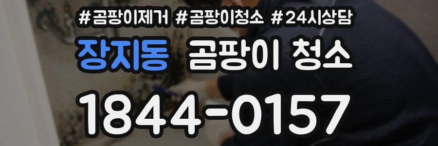 장지동 곰팡이 청소