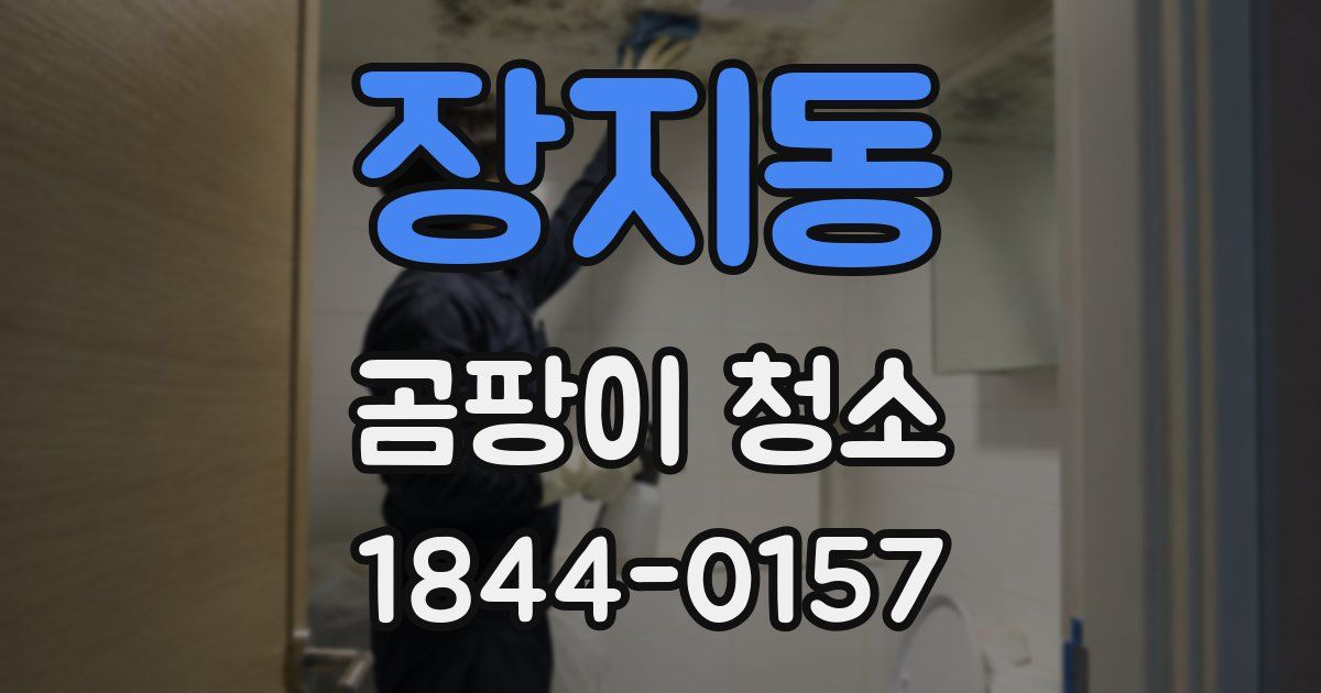 장지동 곰팡이 청소