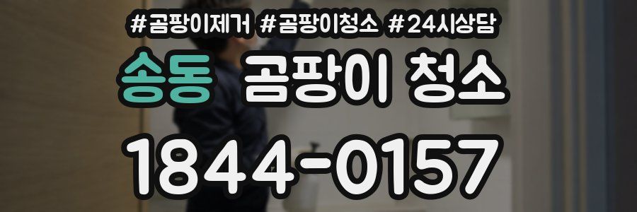 송동 곰팡이 청소