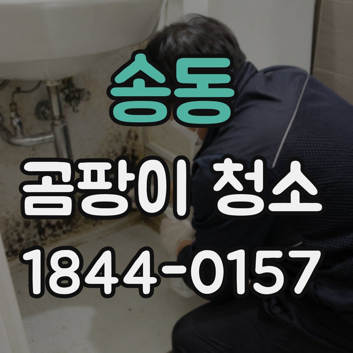송동 곰팡이 청소