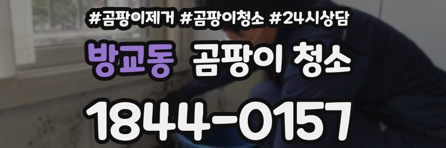 방교동 곰팡이 청소
