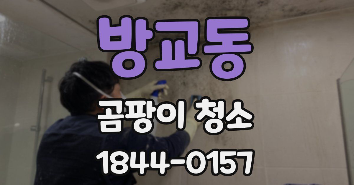 방교동 곰팡이 청소