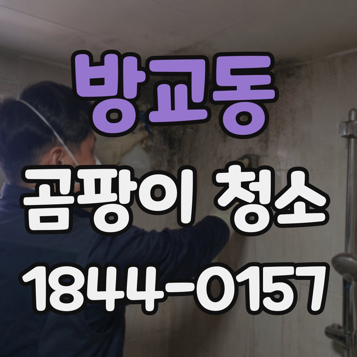 방교동 곰팡이 청소