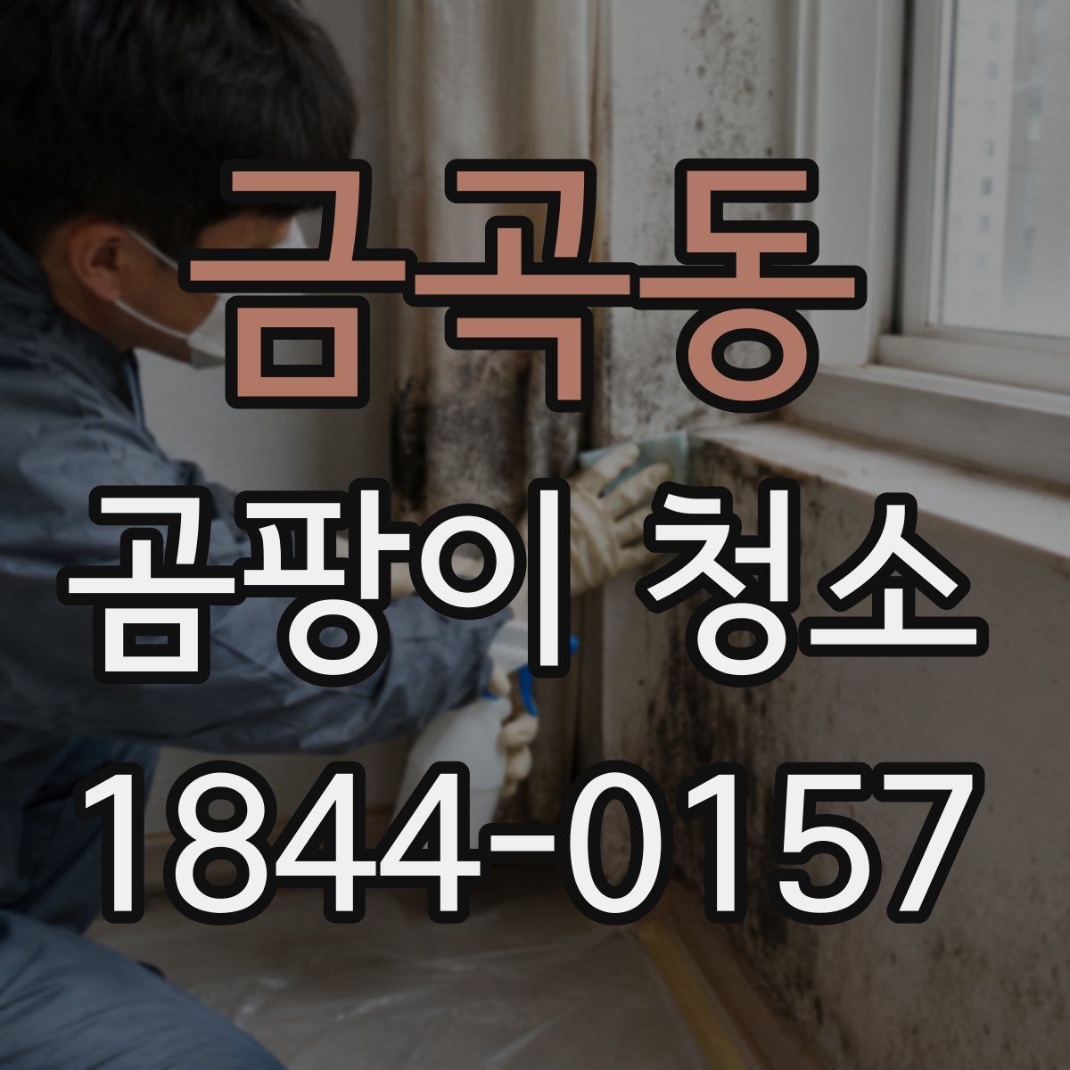 금곡동 곰팡이 청소