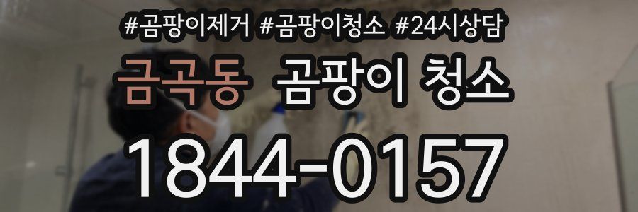 금곡동 곰팡이 청소