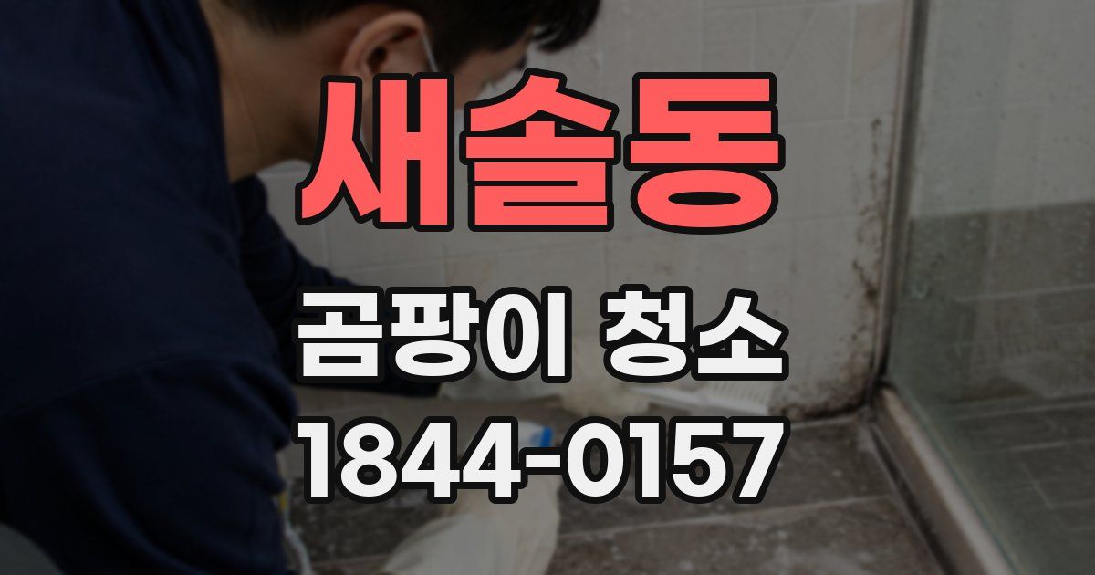 새솔동 곰팡이 청소