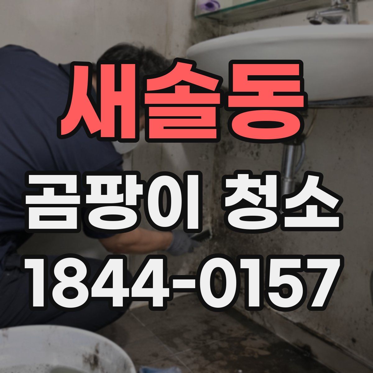 새솔동 곰팡이 청소