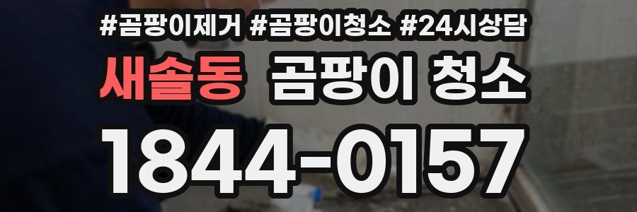 새솔동 곰팡이 청소
