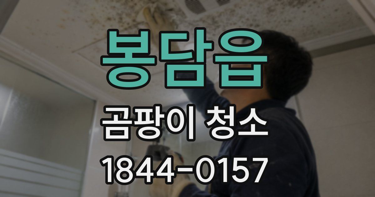 봉담읍 곰팡이 청소