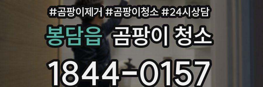 봉담읍 곰팡이 청소