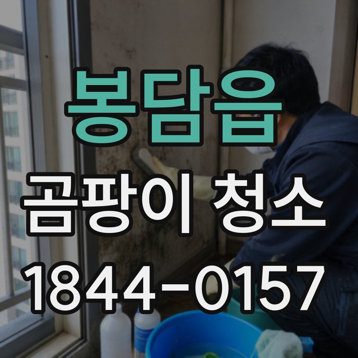 봉담읍 곰팡이 청소