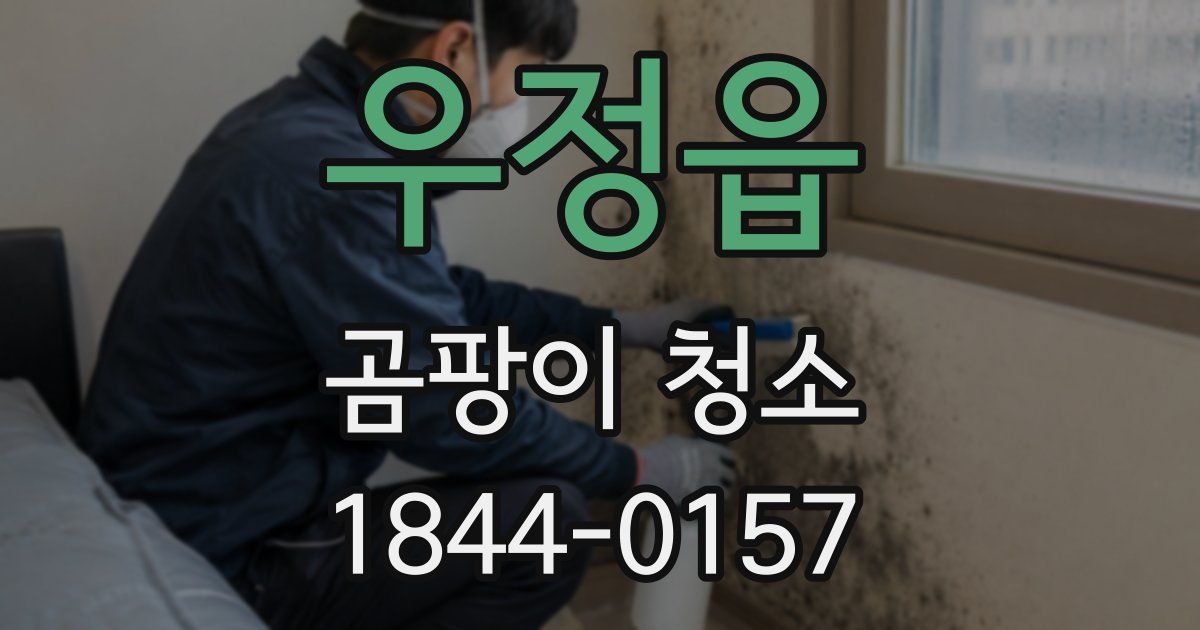 우정읍 곰팡이 청소