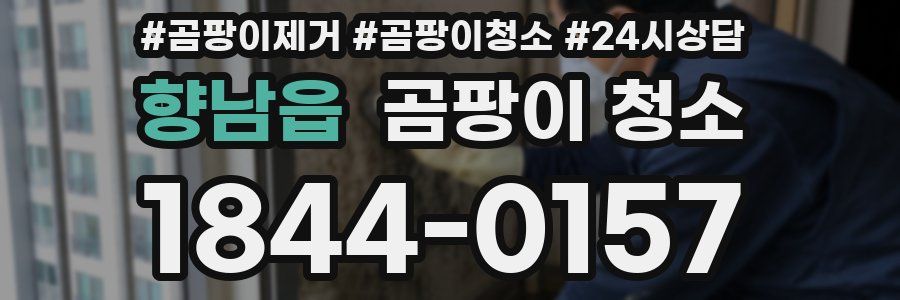 향남읍 곰팡이 청소