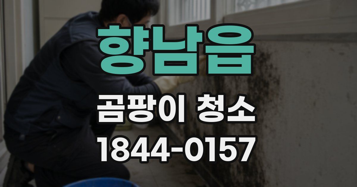 향남읍 곰팡이 청소