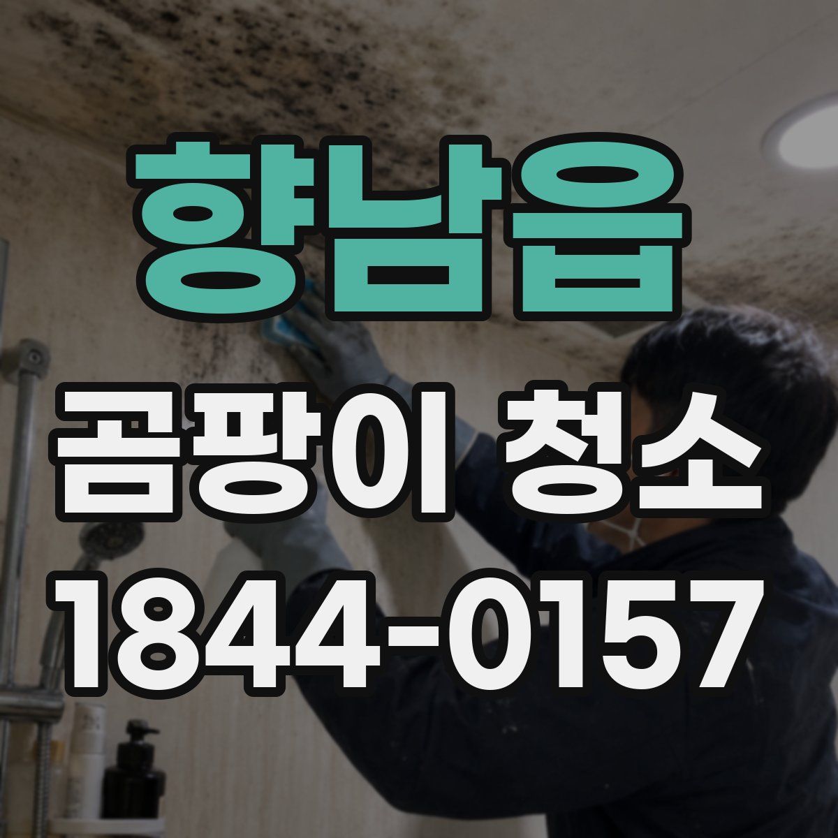 향남읍 곰팡이 청소