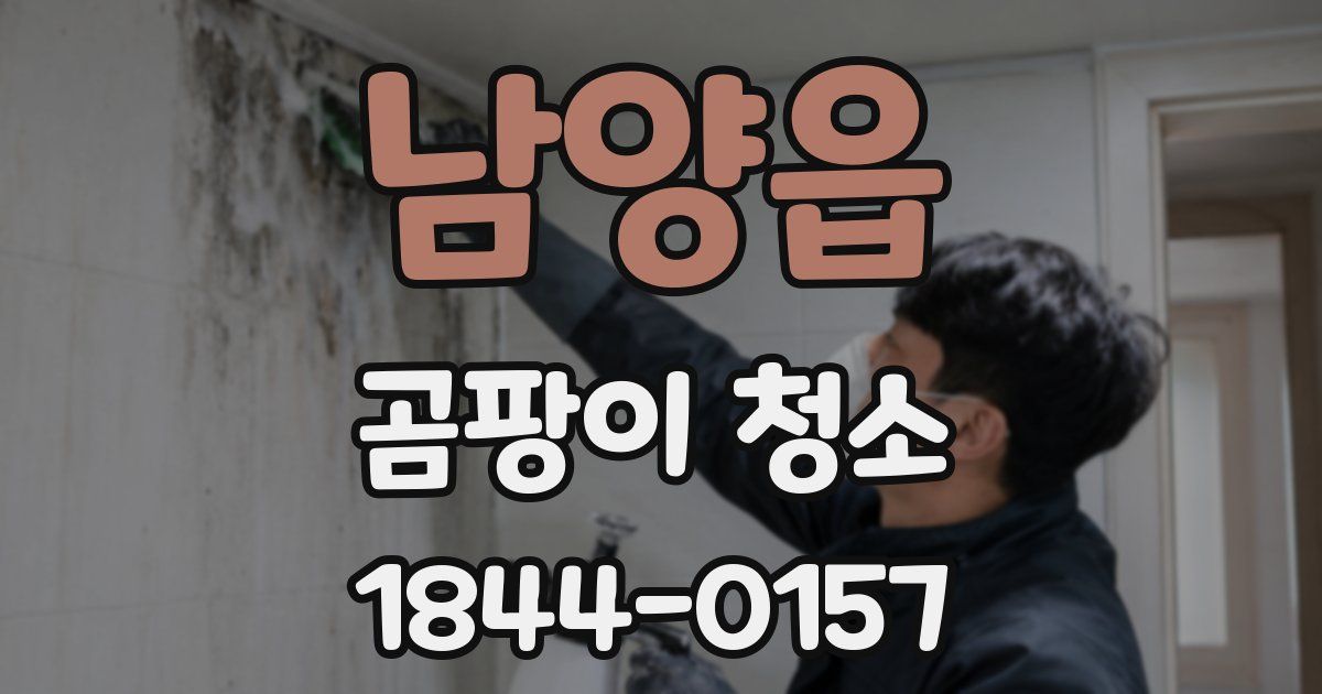 남양읍 곰팡이 청소