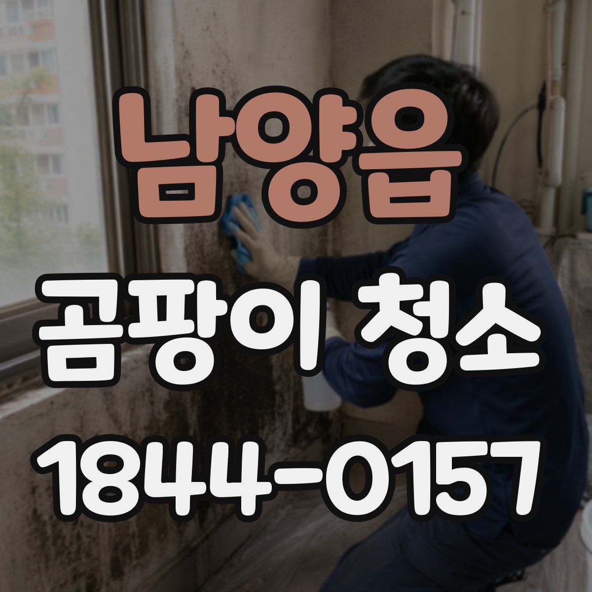 남양읍 곰팡이 청소
