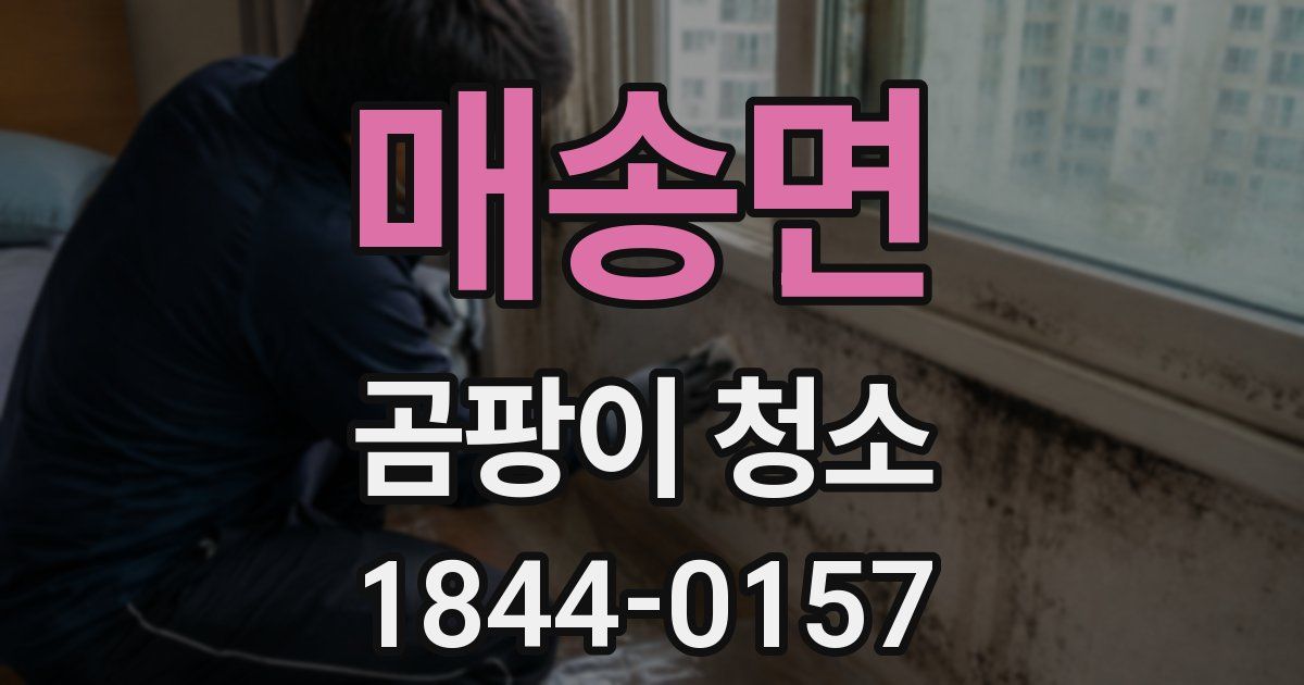 매송면 곰팡이 청소