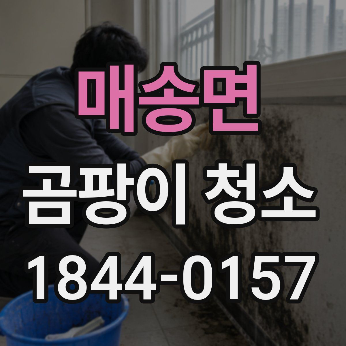 매송면 곰팡이 청소