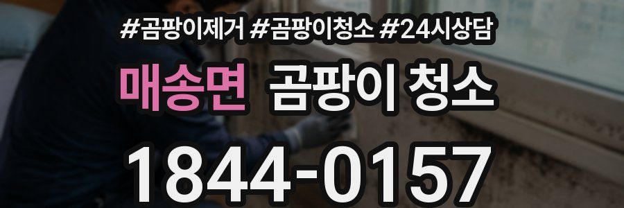 매송면 곰팡이 청소