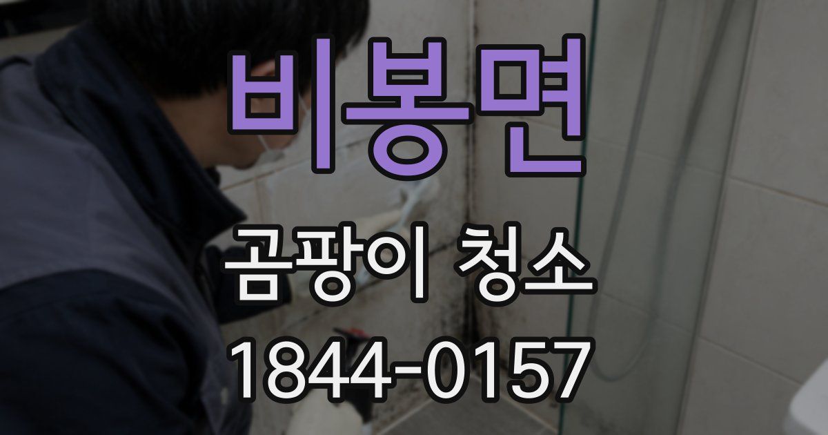 비봉면 곰팡이 청소