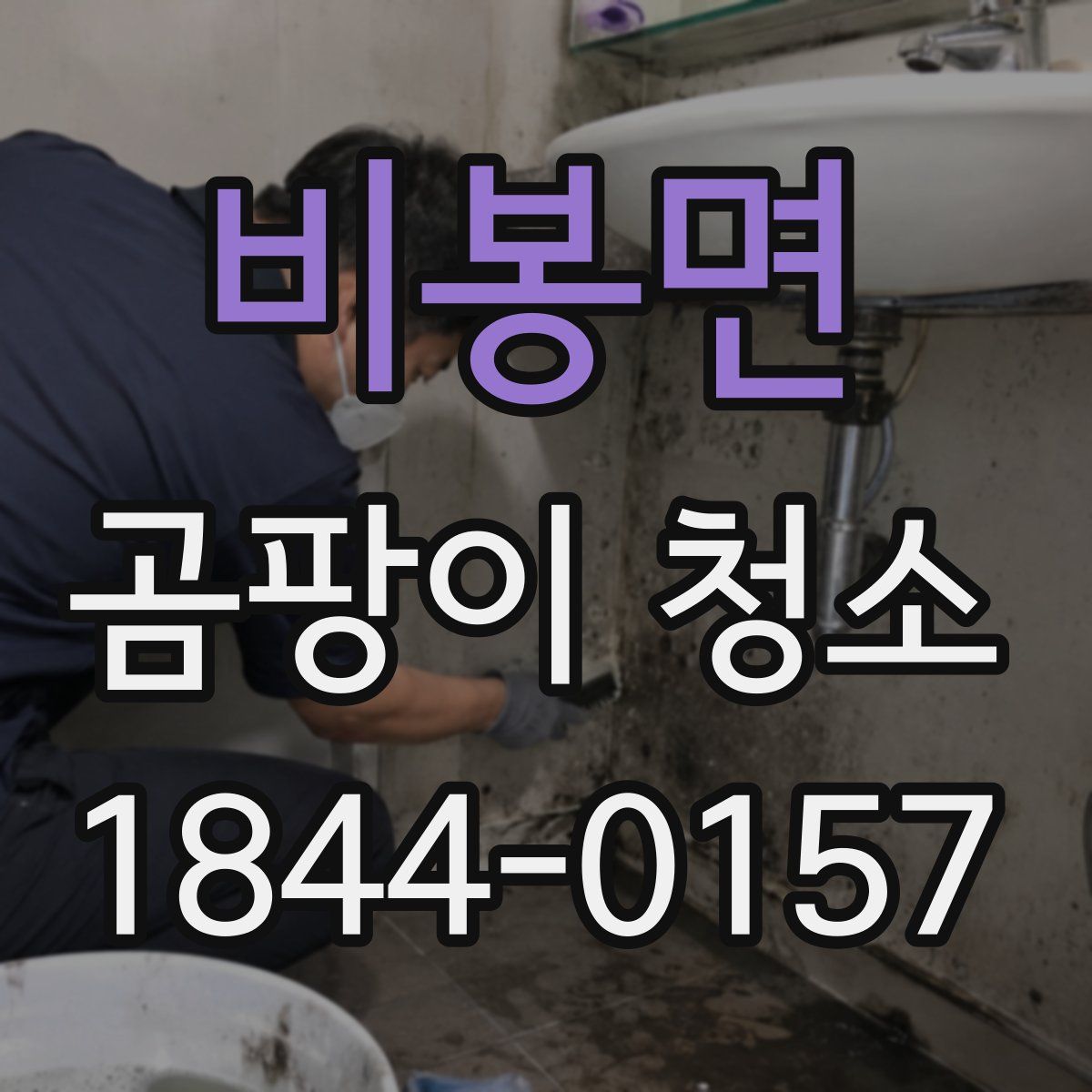 비봉면 곰팡이 청소