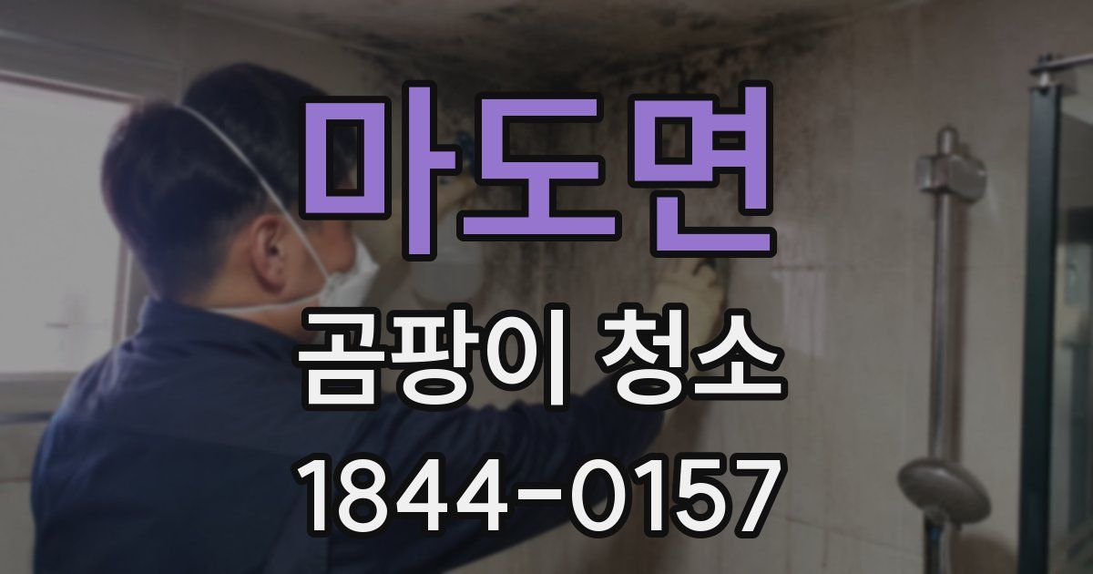 마도면 곰팡이 청소