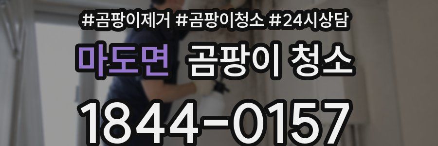 마도면 곰팡이 청소