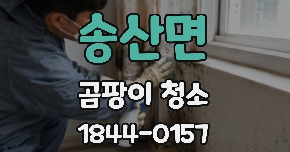 송산면 곰팡이 청소