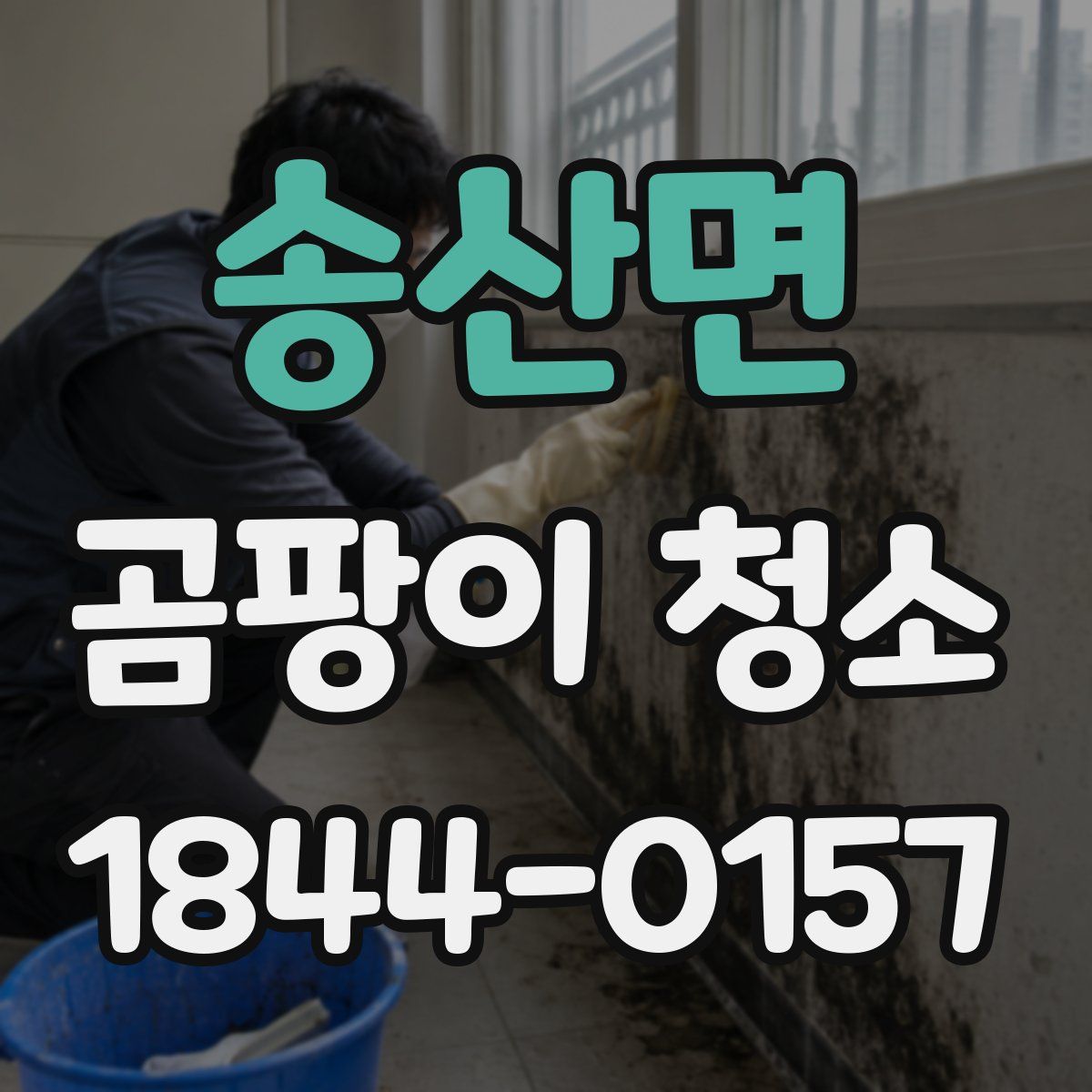 송산면 곰팡이 청소
