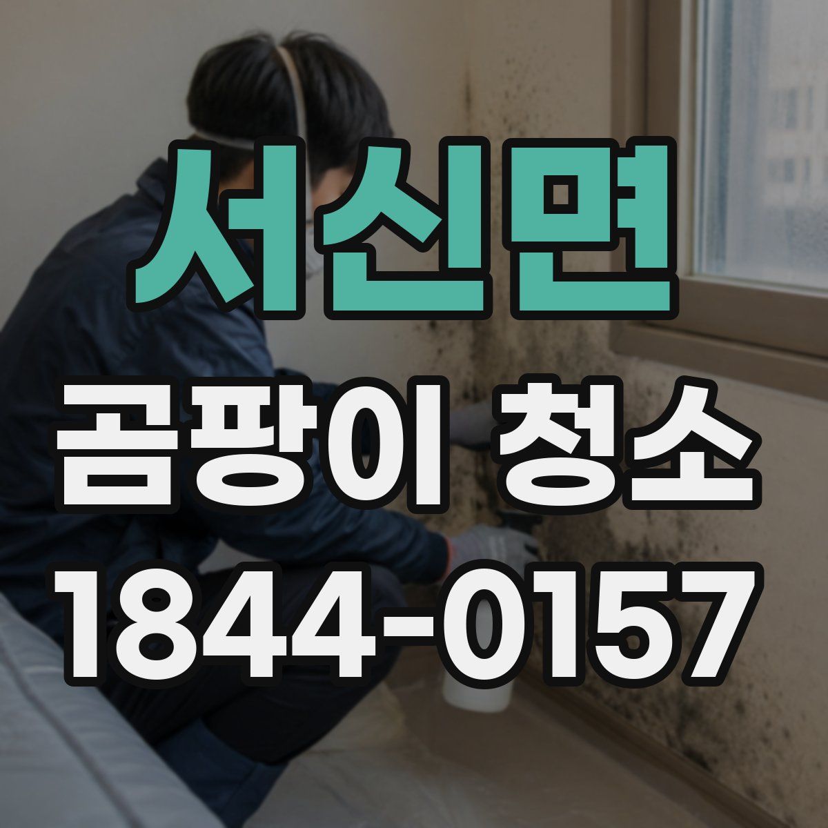 서신면 곰팡이 청소