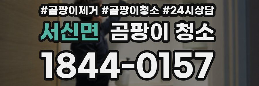 서신면 곰팡이 청소
