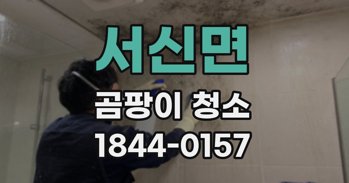 서신면 곰팡이 청소