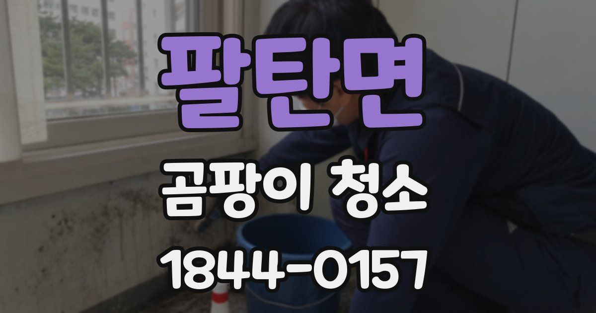 팔탄면 곰팡이 청소
