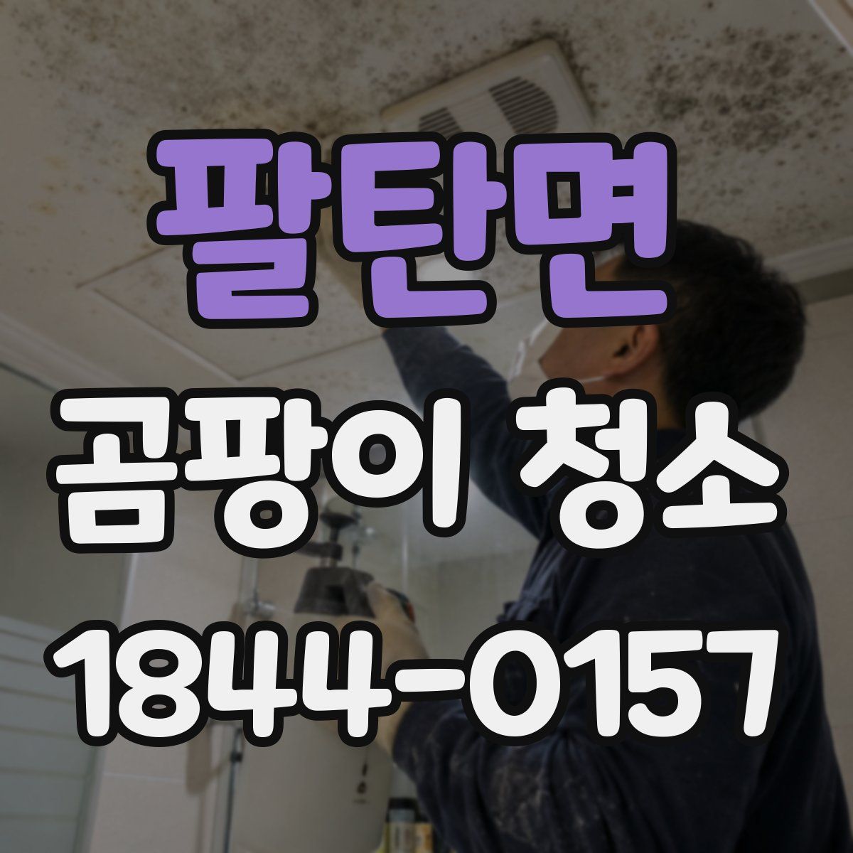 팔탄면 곰팡이 청소