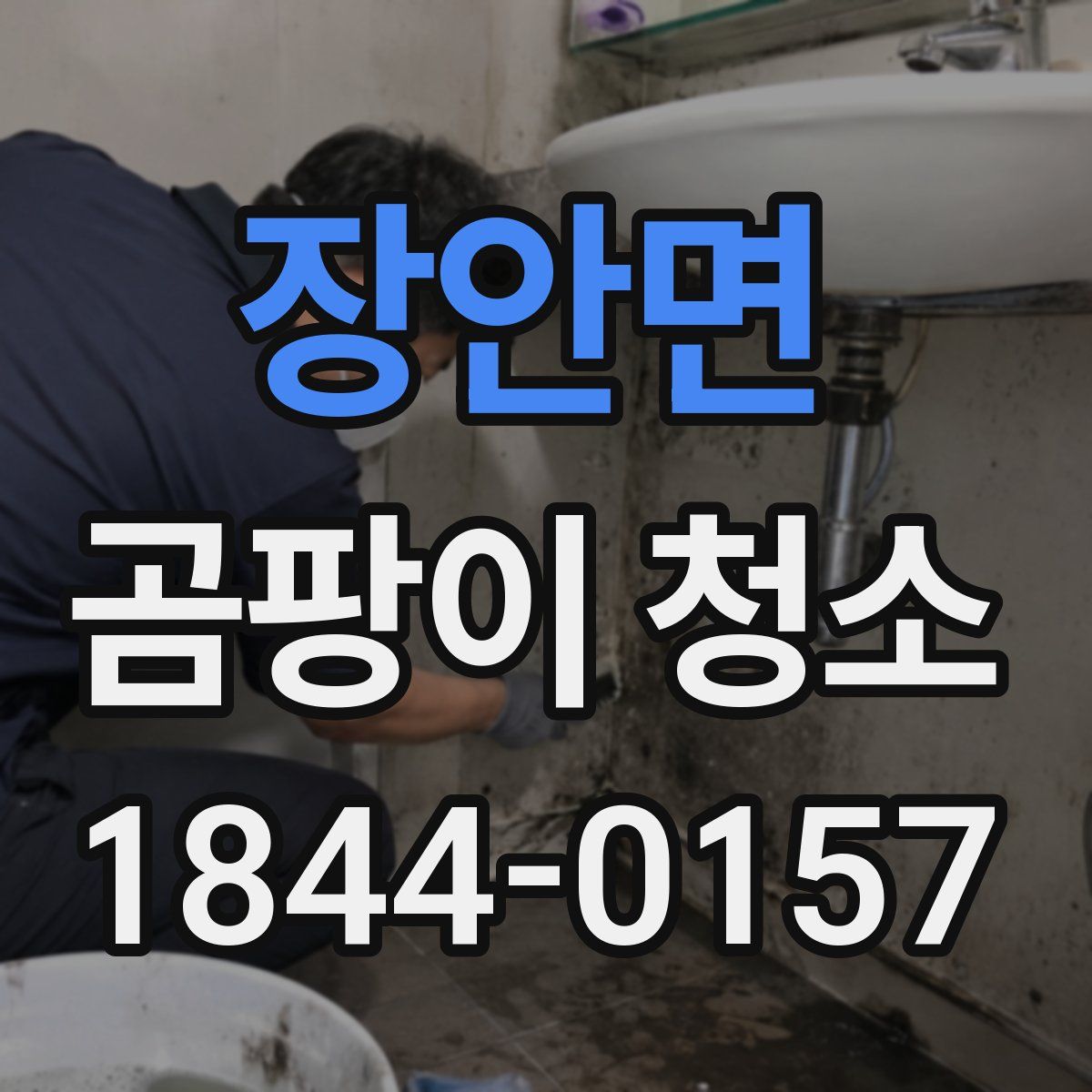 장안면 곰팡이 청소