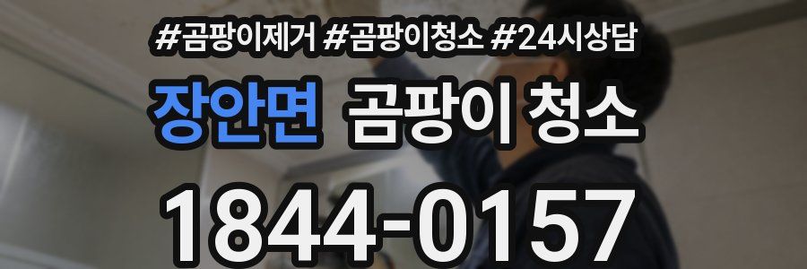 장안면 곰팡이 청소