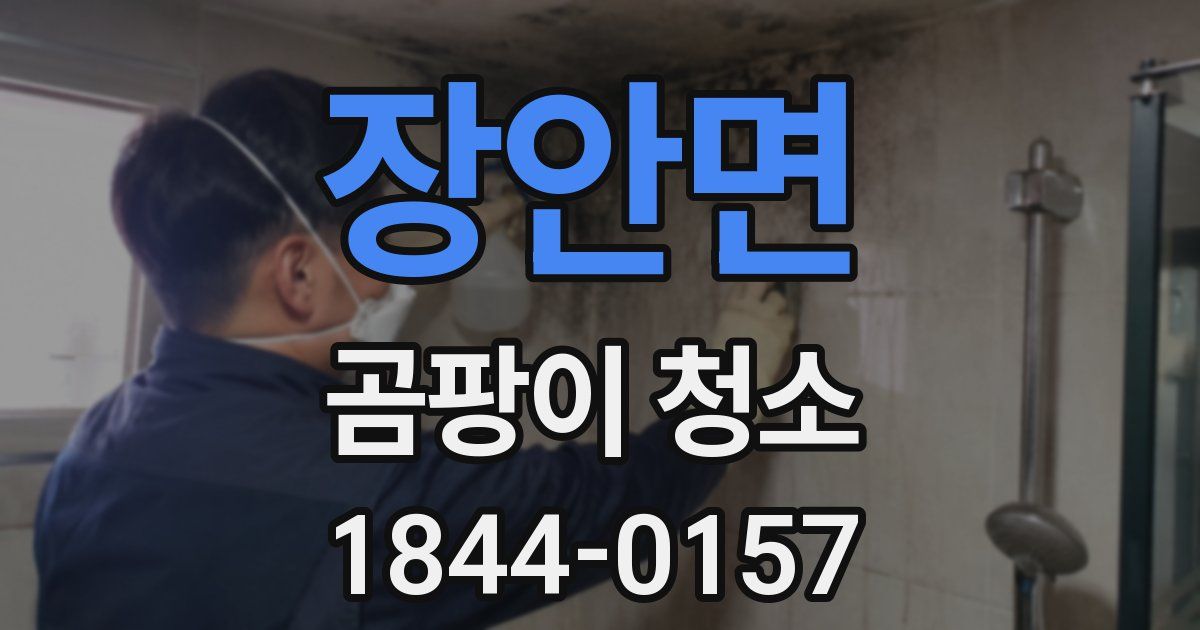 장안면 곰팡이 청소