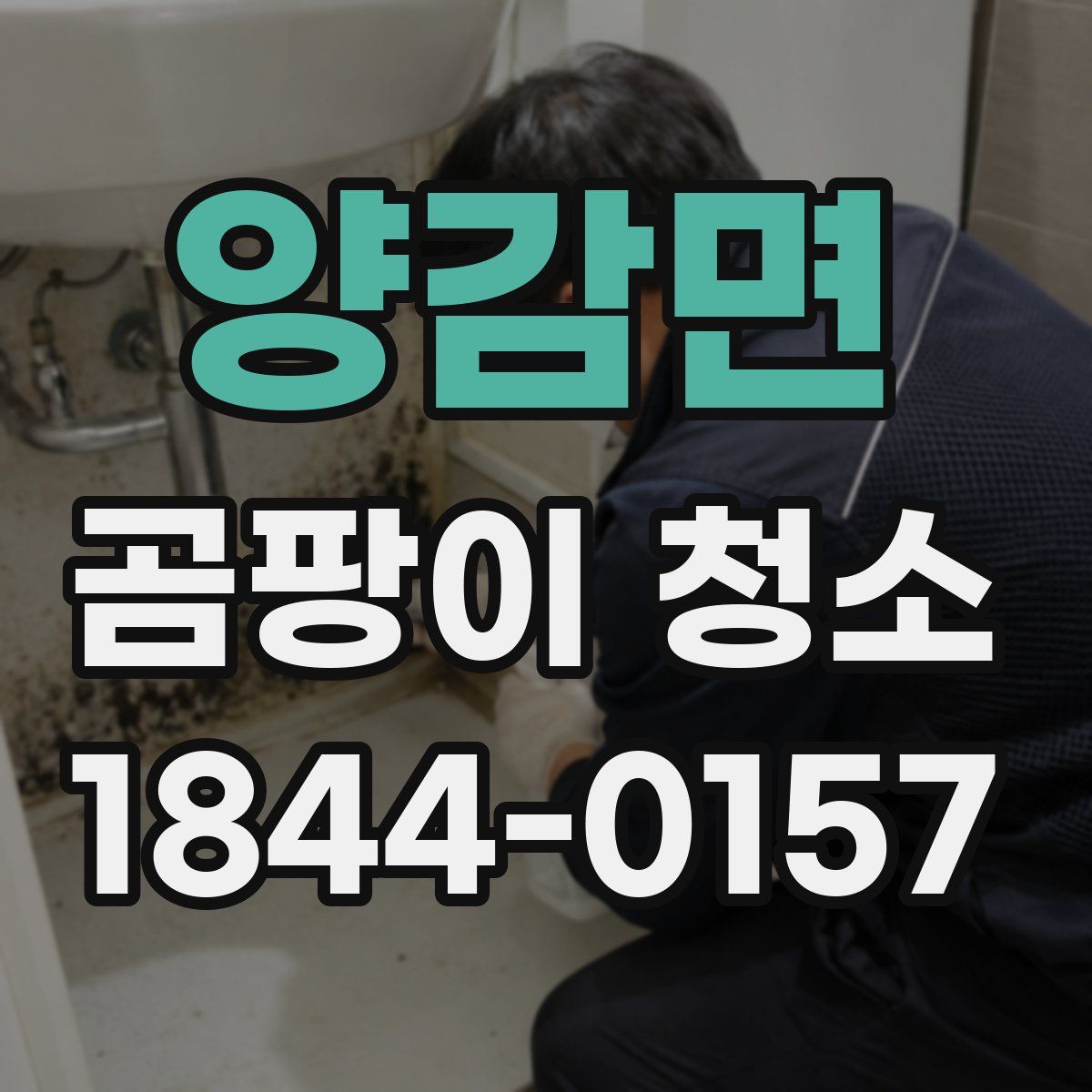 양감면 곰팡이 청소