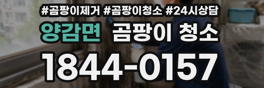 양감면 곰팡이 청소