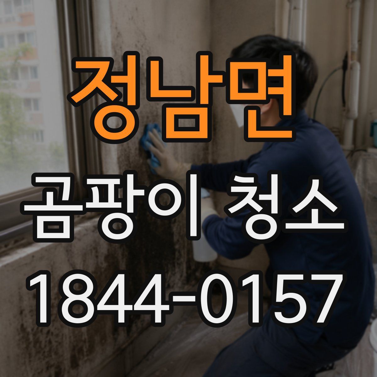 정남면 곰팡이 청소